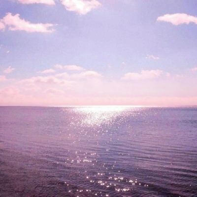 鸭脖app下载下载手机版截图